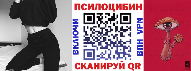 Галлюциногенные грибы Psilocybe  Междуреченск 